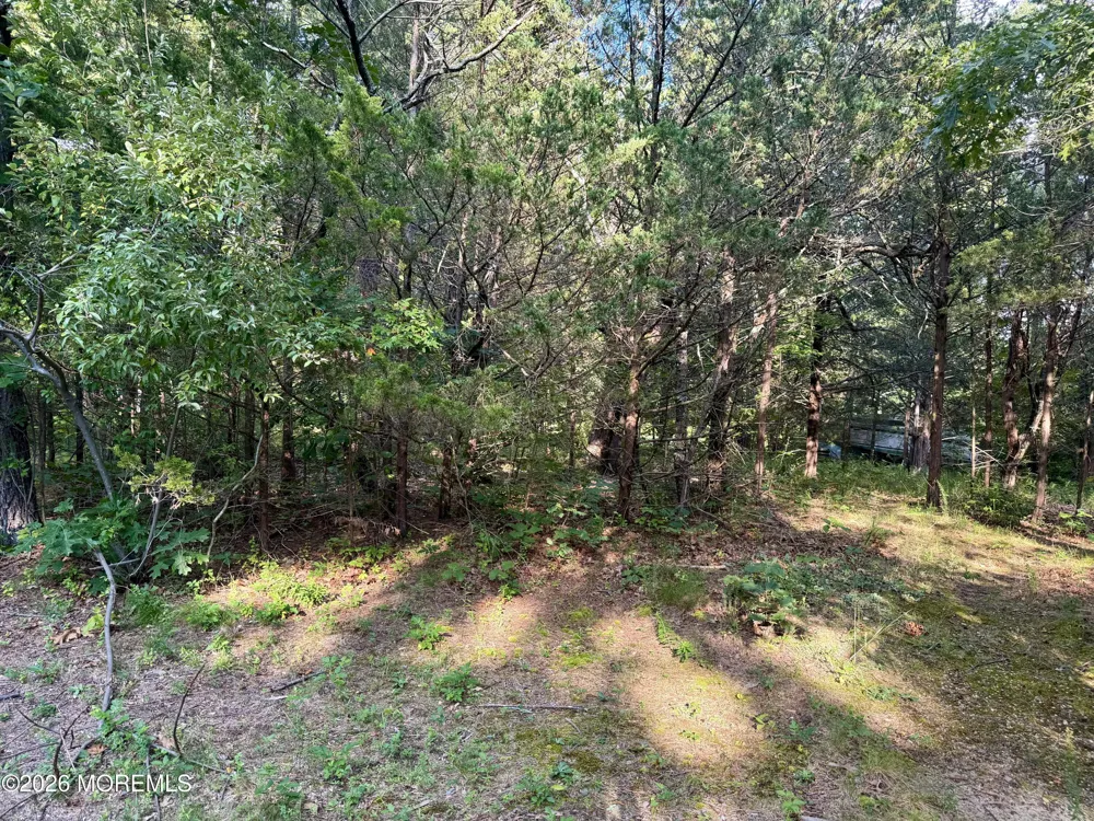 Lakehurst Avenue Jackson, NJ 08527