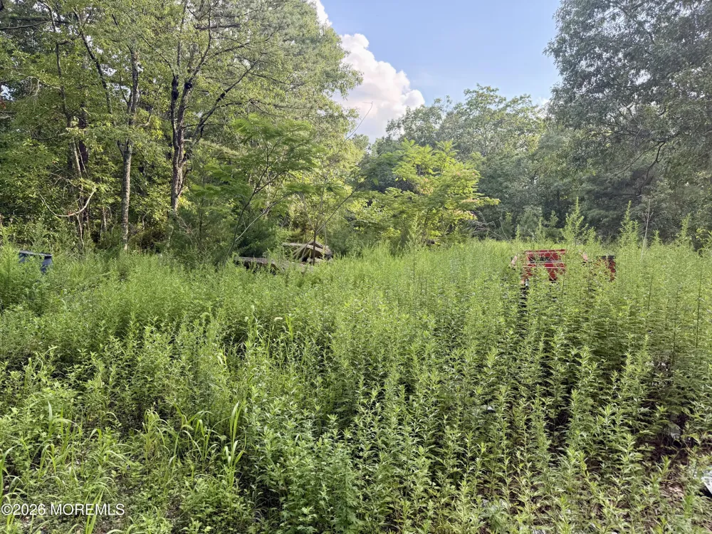 Lakehurst Avenue Jackson, NJ 08527