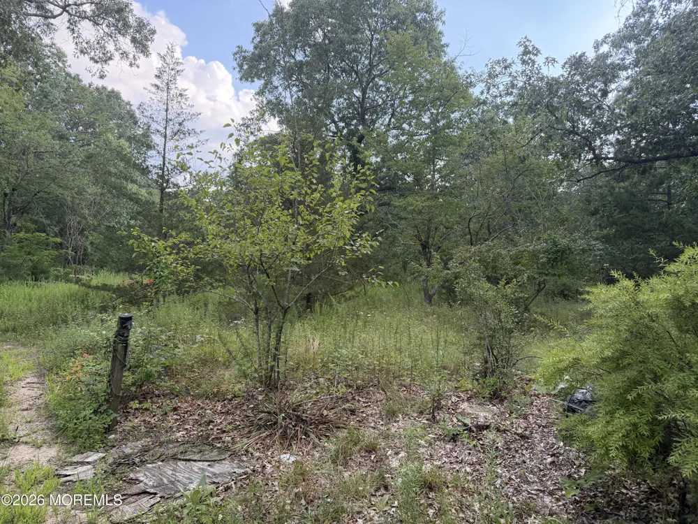 Lakehurst Avenue Jackson, NJ 08527