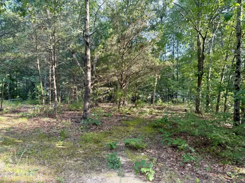 Lakehurst Avenue