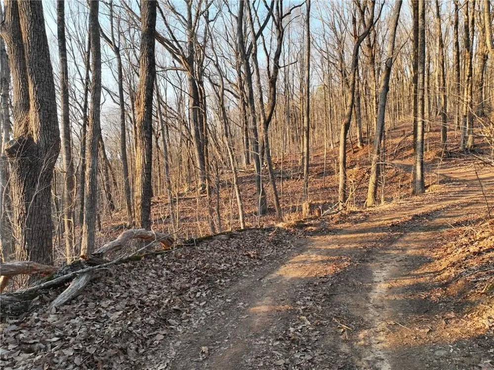 Lot 2 Mount Mincie Road Murrayville, GA 30564