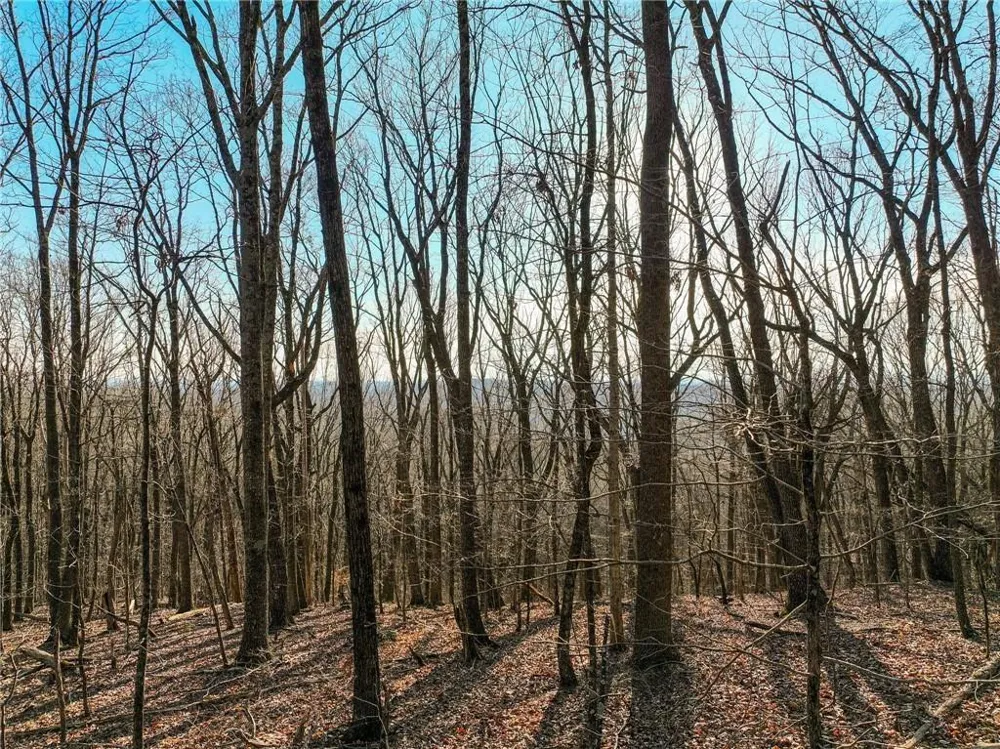 Lot 2 Mount Mincie Road Murrayville, GA 30564