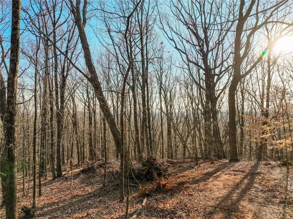 Lot 2 Mount Mincie Road Murrayville, GA 30564