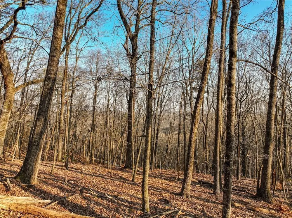 Lot 2 Mount Mincie Road Murrayville, GA 30564