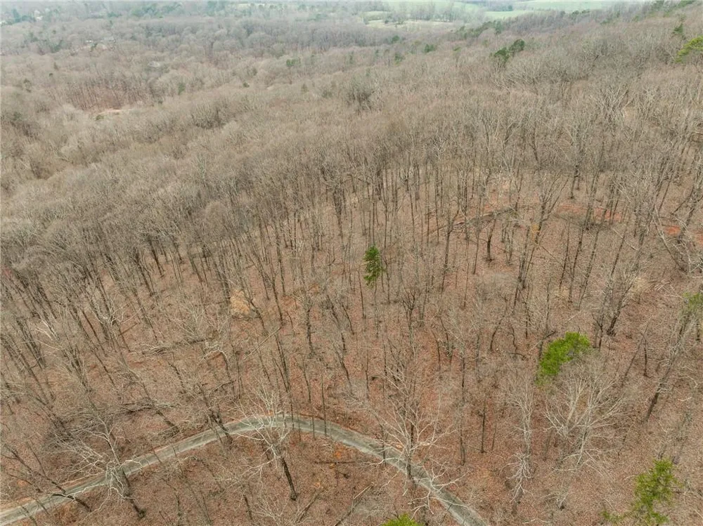 Lot 2 Mount Mincie Road Murrayville, GA 30564