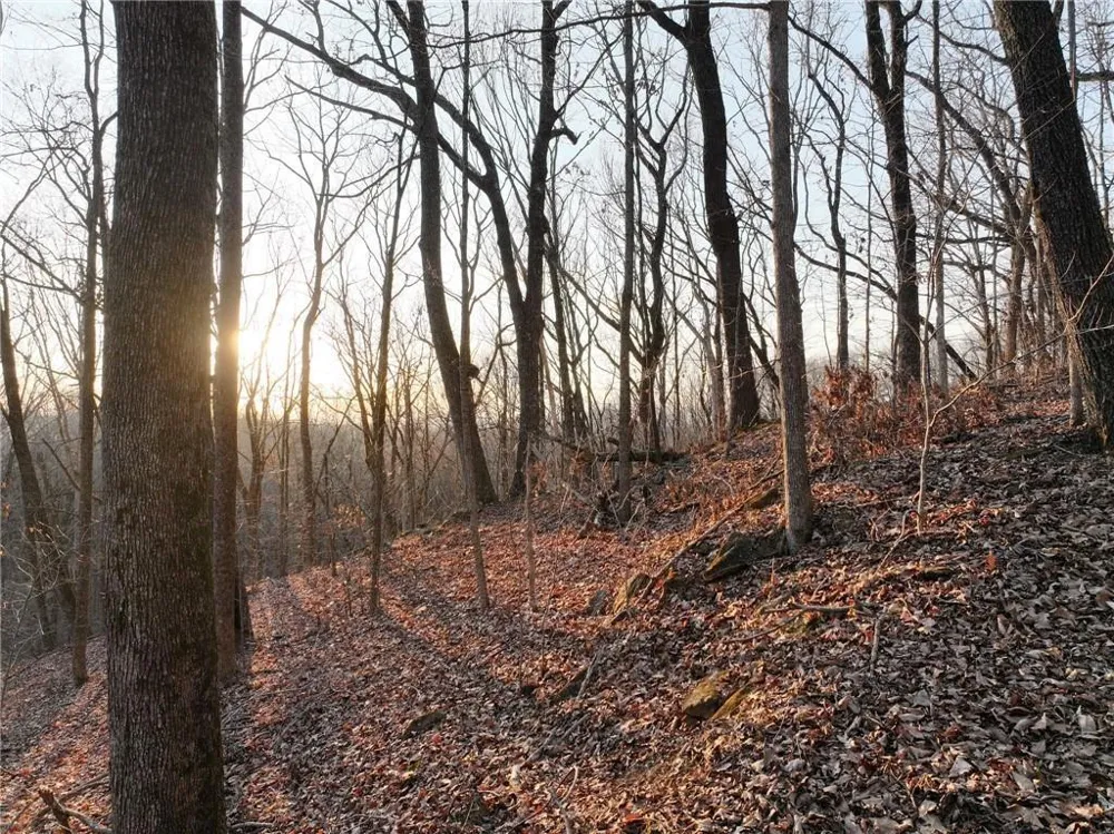 Lot 2 Mount Mincie Road Murrayville, GA 30564