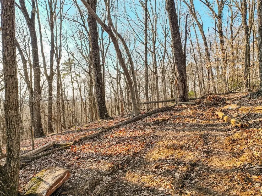 Lot 2 Mount Mincie Road Murrayville, GA 30564