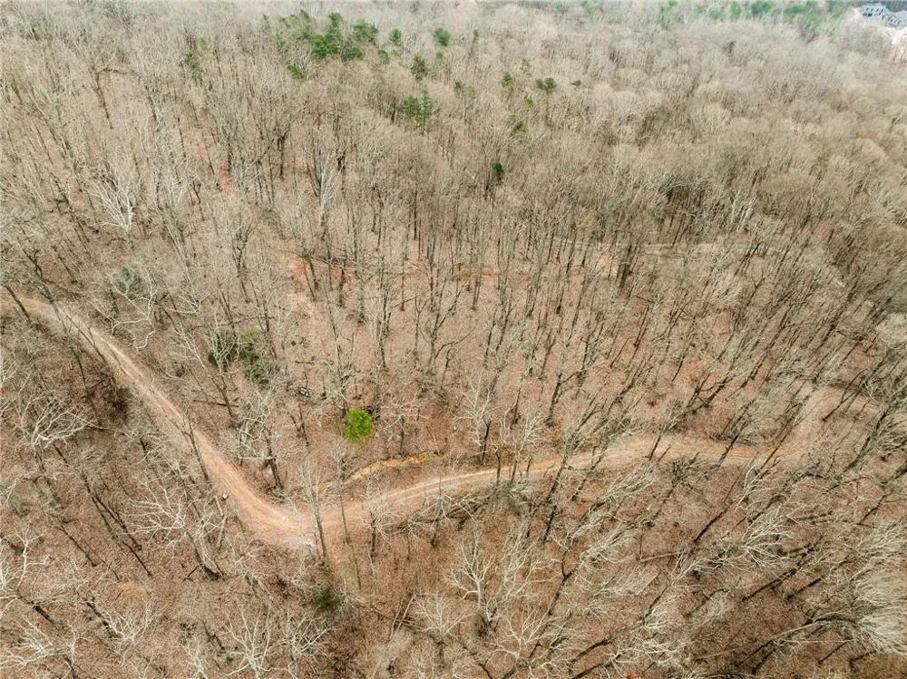 Lot 2 Mount Mincie Road Murrayville, GA 30564