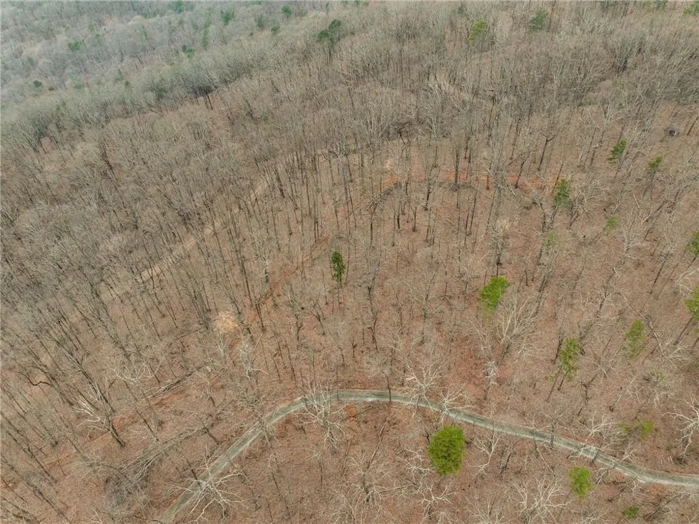 Lot 2 Mount Mincie Road Murrayville, GA 30564
