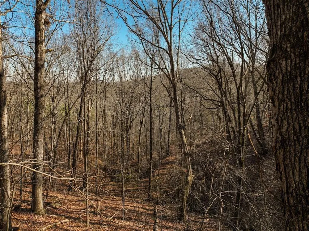 Lot 10 Mount Mincie Road Murrayville, GA 30564