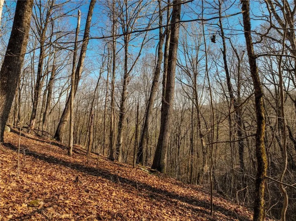 Lot 10 Mount Mincie Road Murrayville, GA 30564