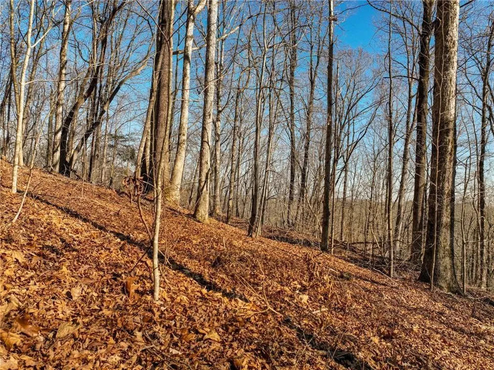 Lot 10 Mount Mincie Road Murrayville, GA 30564