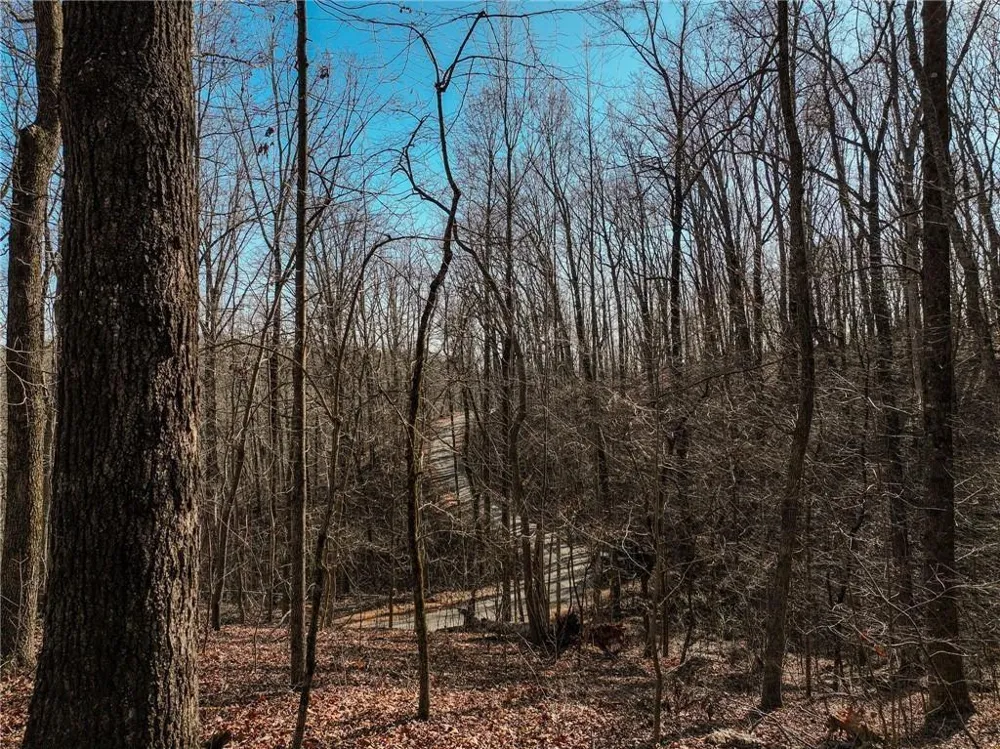 Lot 10 Mount Mincie Road Murrayville, GA 30564