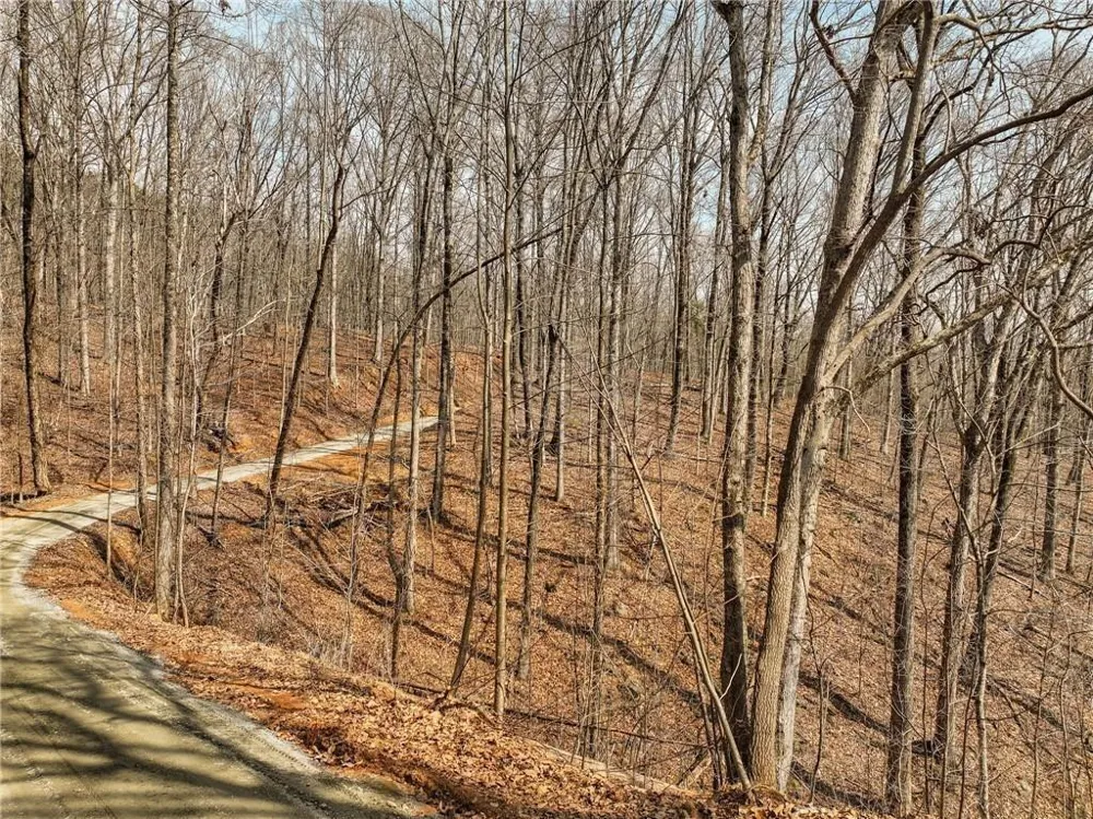 Lot 10 Mount Mincie Road Murrayville, GA 30564