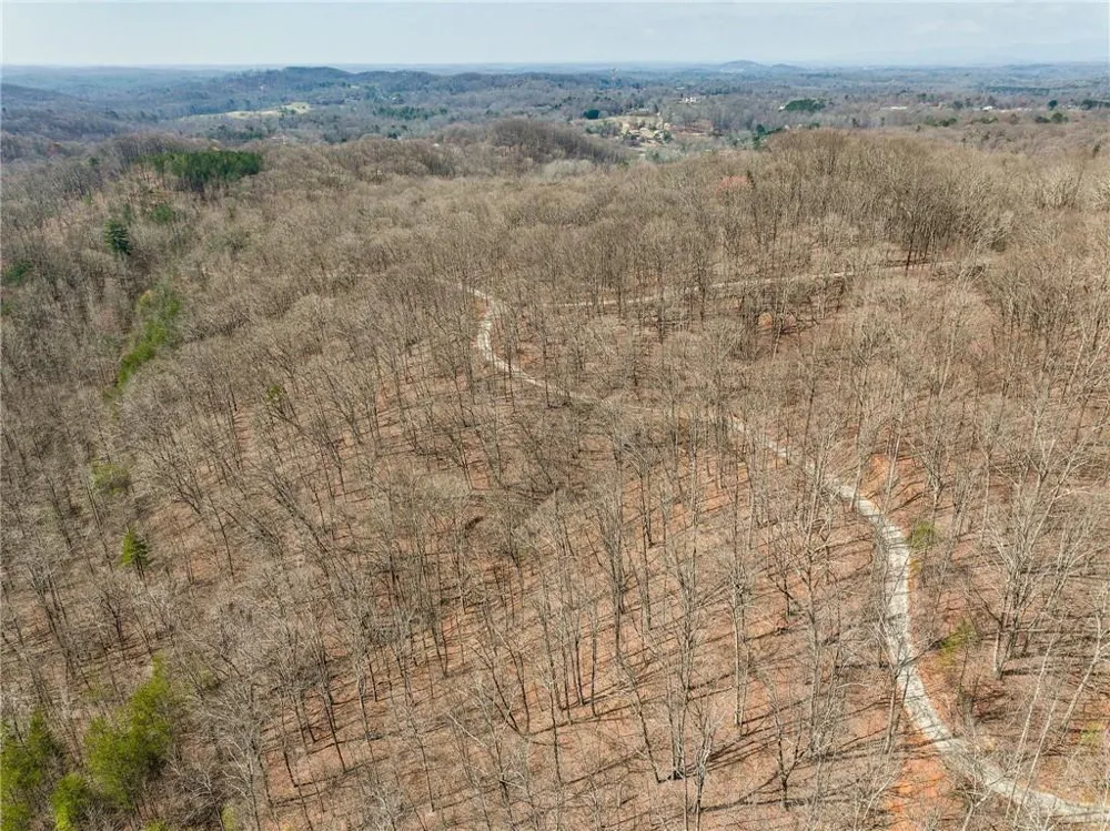 Lot 10 Mount Mincie Road Murrayville, GA 30564