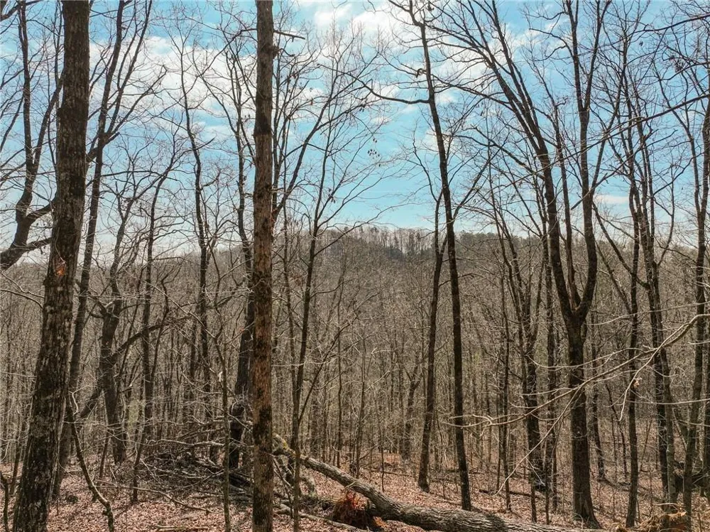 Lot 10 Mount Mincie Road Murrayville, GA 30564
