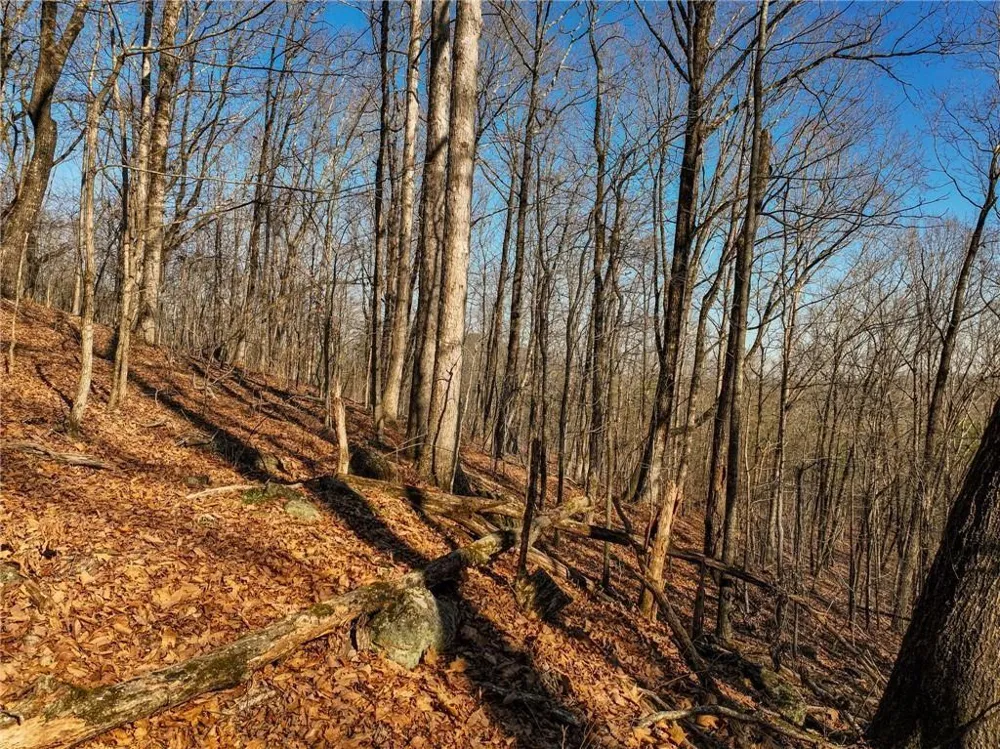 Lot 10 Mount Mincie Road Murrayville, GA 30564