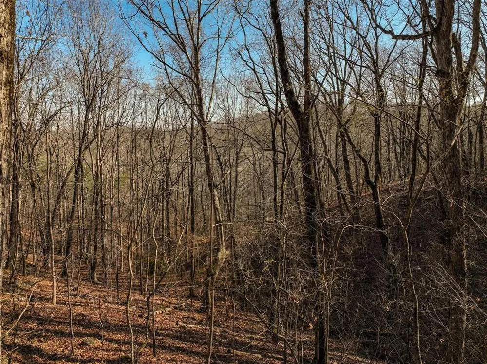 Lot 10 Mount Mincie Road Murrayville, GA 30564