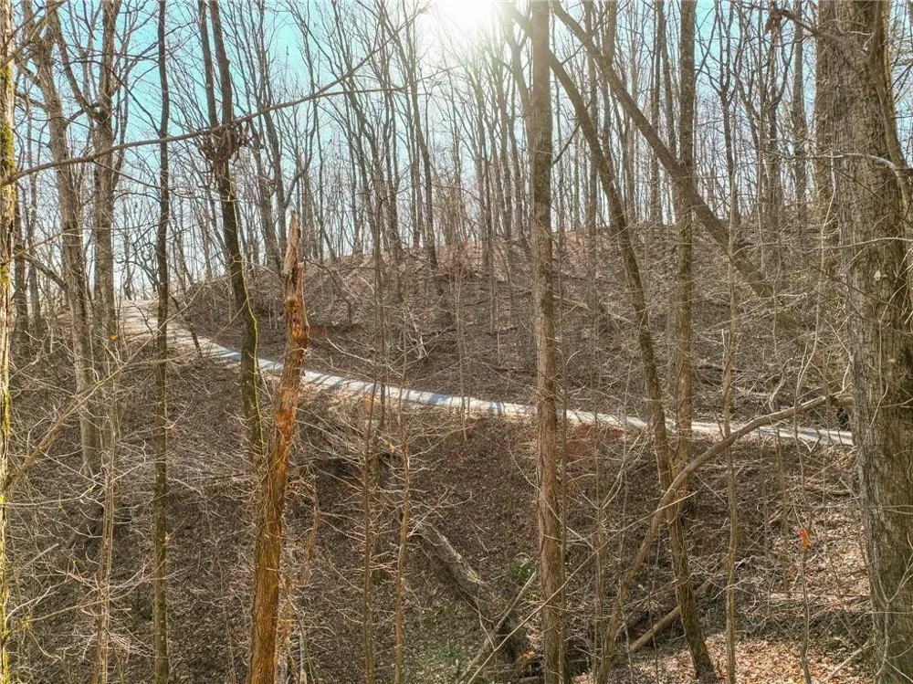 Lot 10 Mount Mincie Road Murrayville, GA 30564
