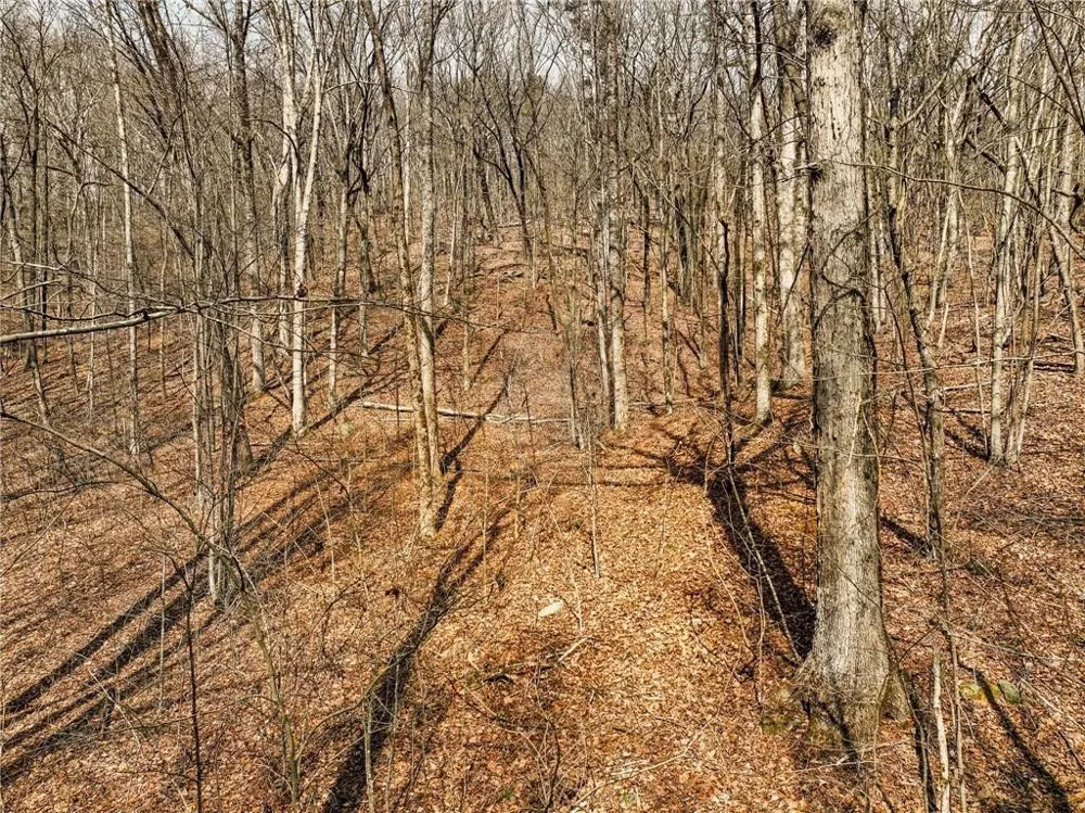 Lot 6 Mount Mincie Road Murrayville, GA 30564