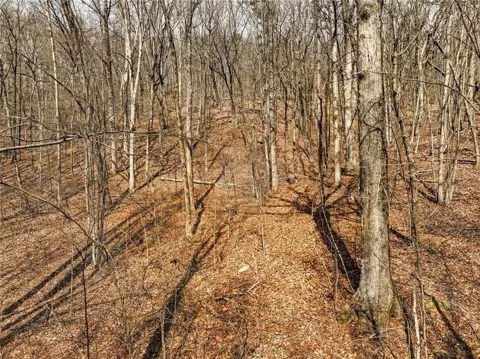 Lot 6 Mount Mincie Road