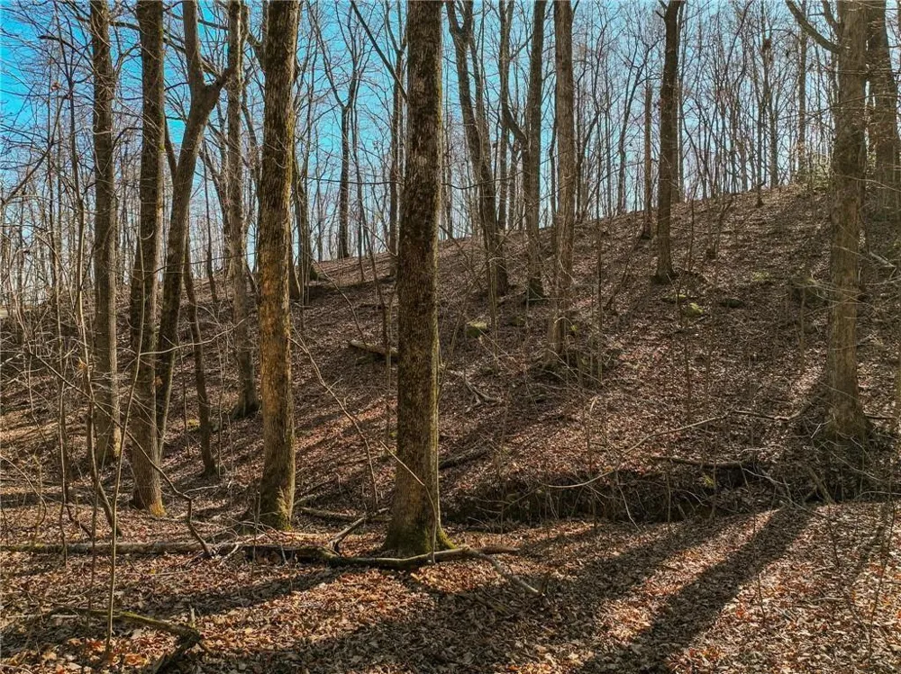Lot 6 Mount Mincie Road Murrayville, GA 30564