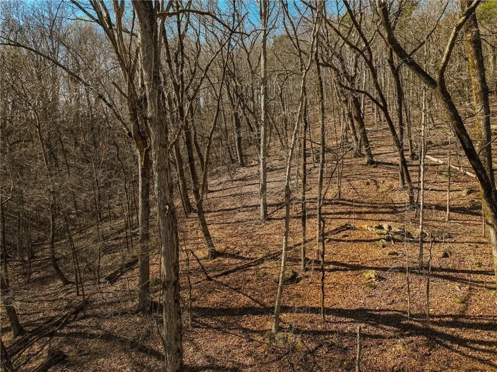 Lot 6 Mount Mincie Road Murrayville, GA 30564