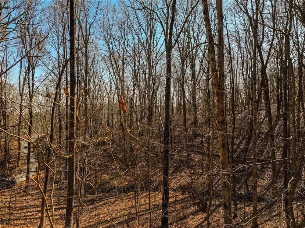 Lot 6 Mount Mincie Road Murrayville, GA 30564
