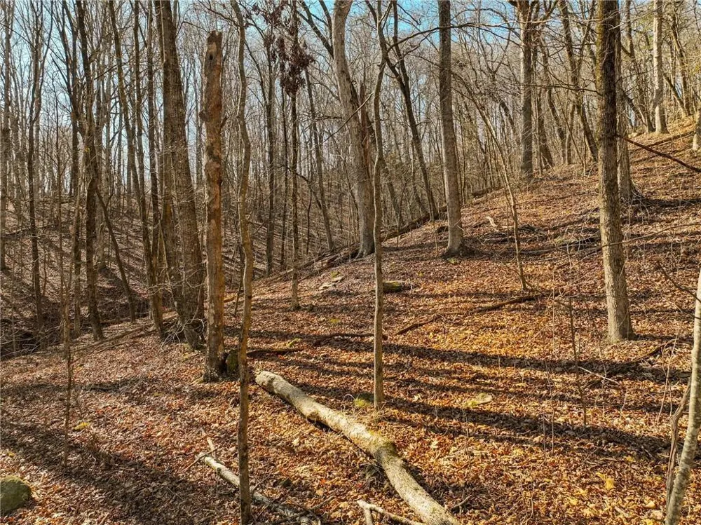 Lot 6 Mount Mincie Road Murrayville, GA 30564