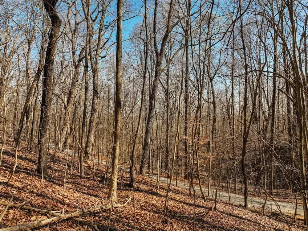 Lot 6 Mount Mincie Road Murrayville, GA 30564