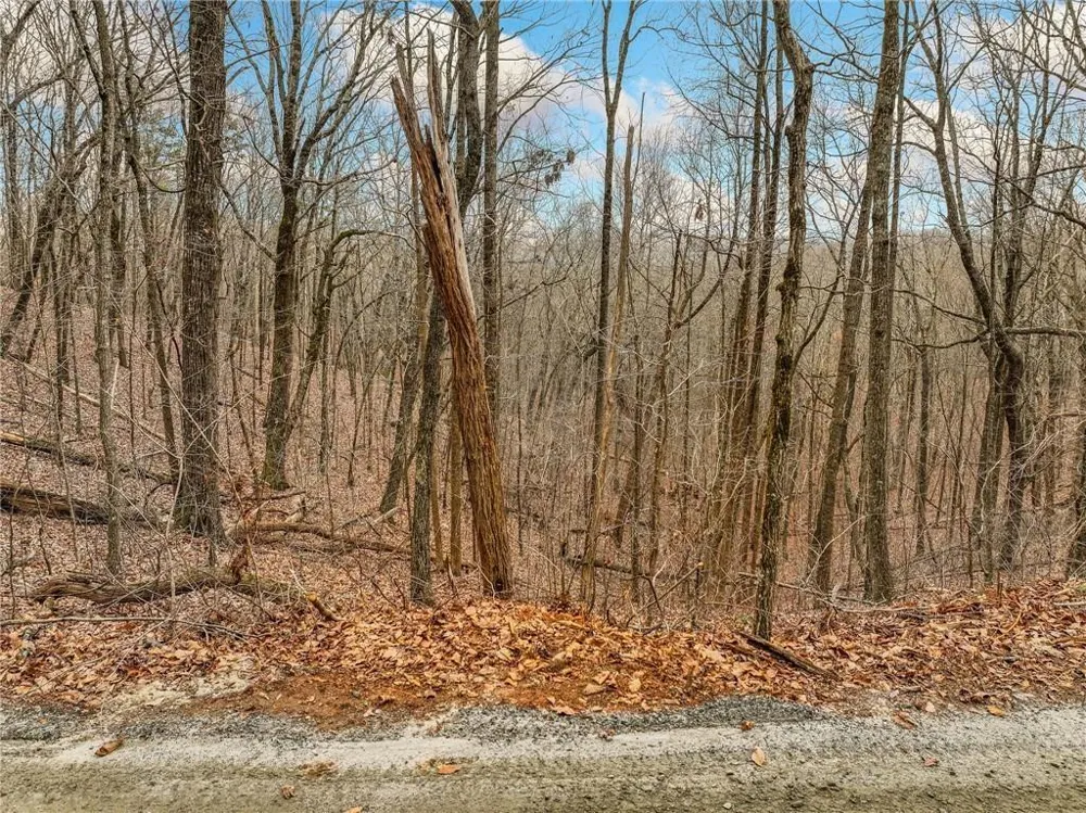 Lot 6 Mount Mincie Road Murrayville, GA 30564