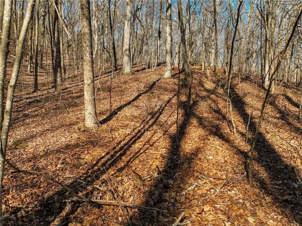 Lot 6 Mount Mincie Road Murrayville, GA 30564