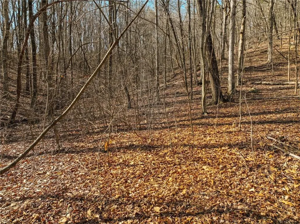 Lot 6 Mount Mincie Road Murrayville, GA 30564