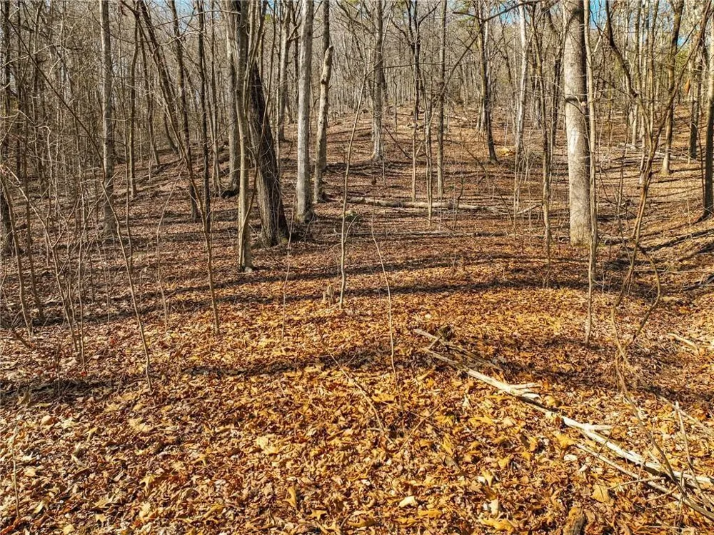 Lot 6 Mount Mincie Road Murrayville, GA 30564