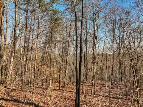 Lot 9 Mount Mincie Road
