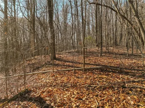 Lot 5 Mount Mincie Road