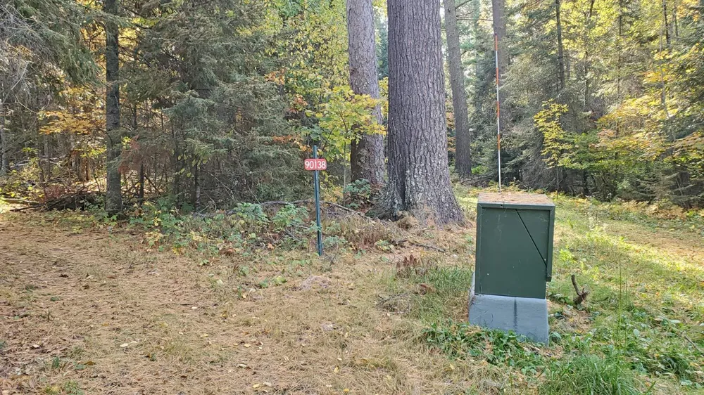 90138 Pine Tower, MN 55790