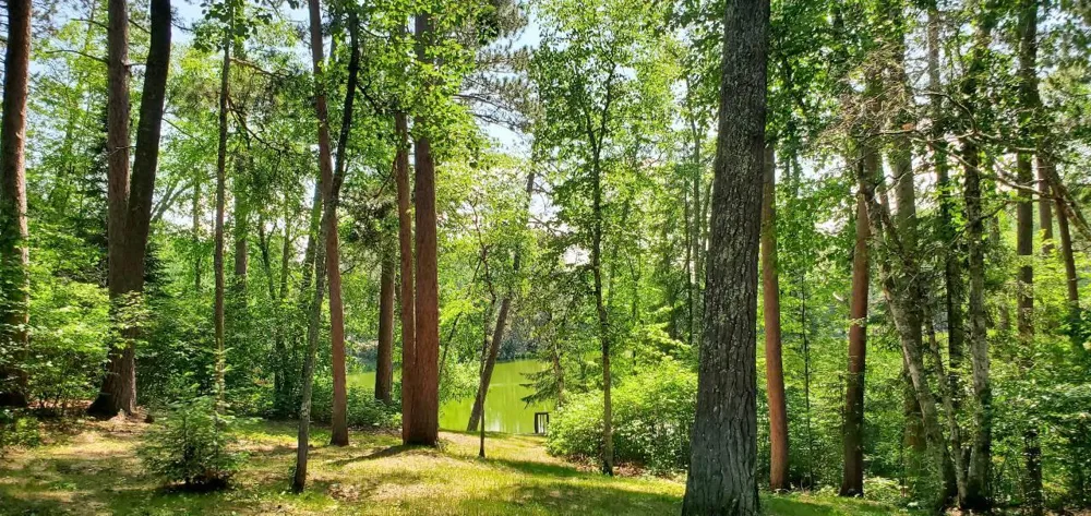 90138 Pine Tower, MN 55790