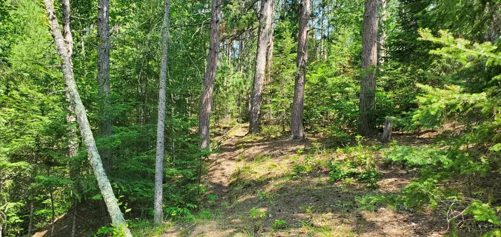 90138 Pine Tower, MN 55790