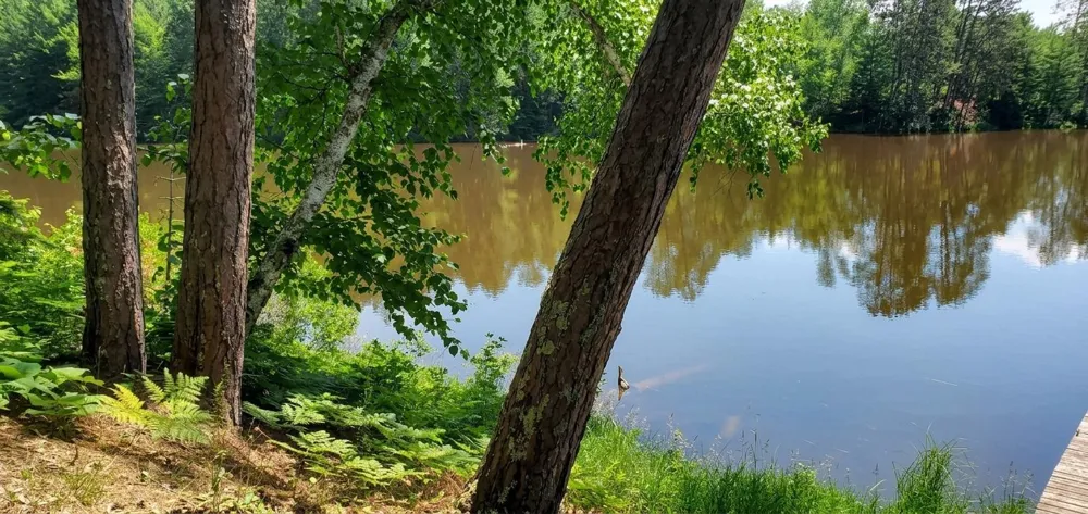 90138 Pine Tower, MN 55790