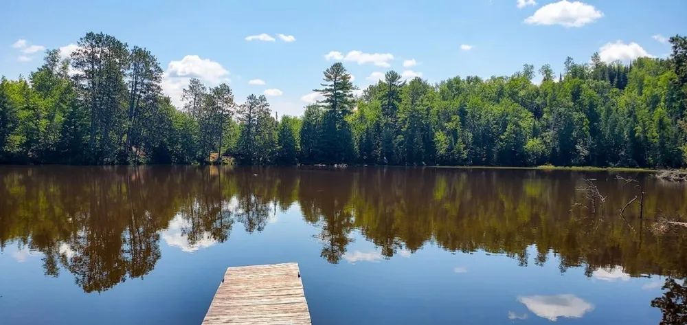90138 Pine Tower, MN 55790