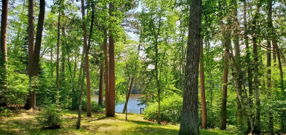 90138 Pine Tower, MN 55790