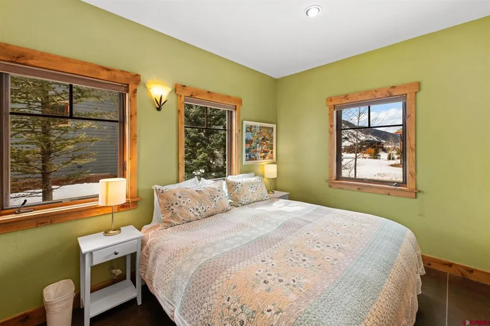 319 Larkspur Loop Crested Butte, CO 81224