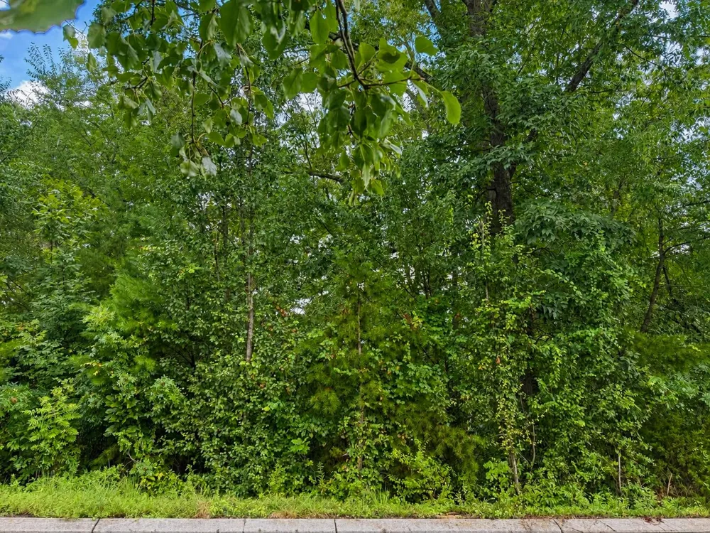392 Arbor Pointe Trail Dayton, TN 37321
