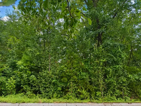 392 Arbor Pointe Trail