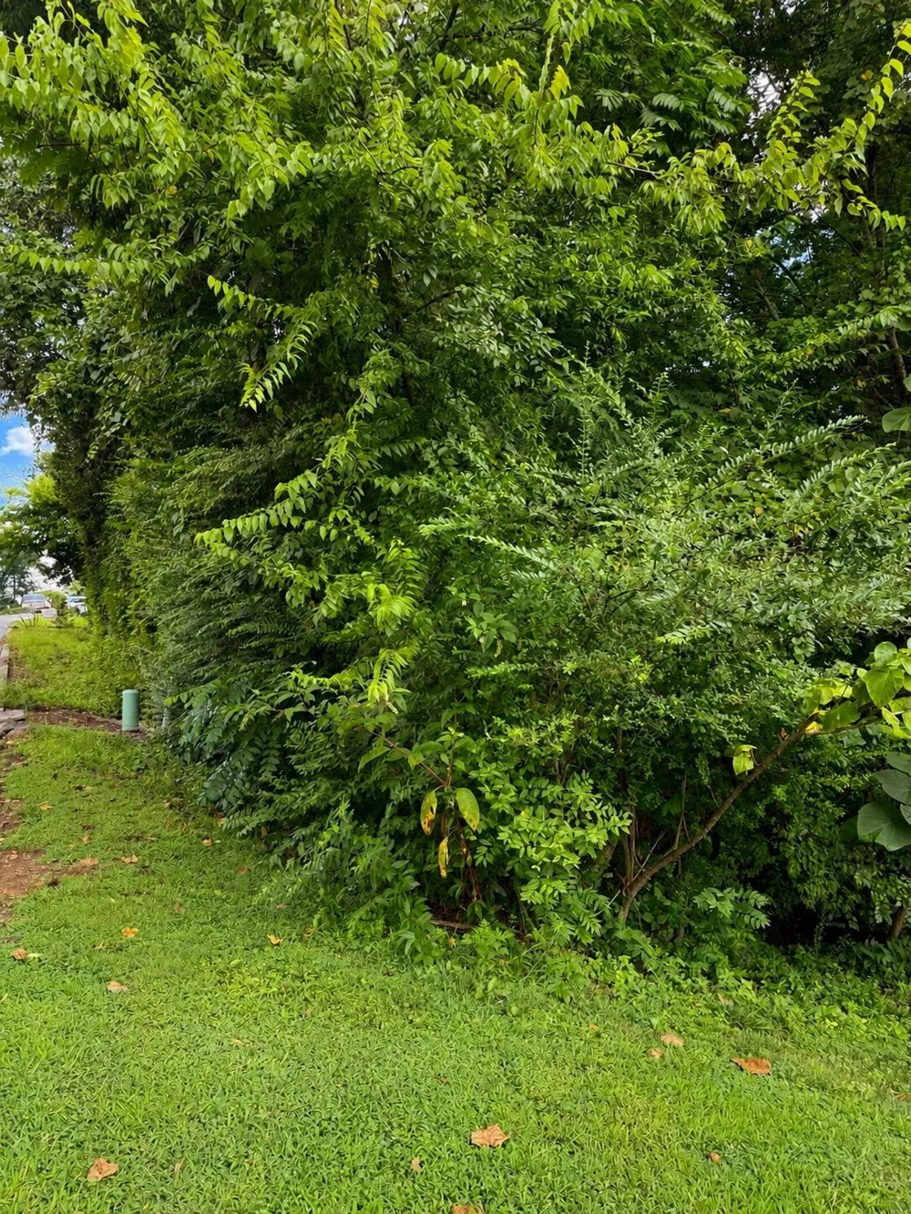 392 Arbor Pointe Trail Dayton, TN 37321