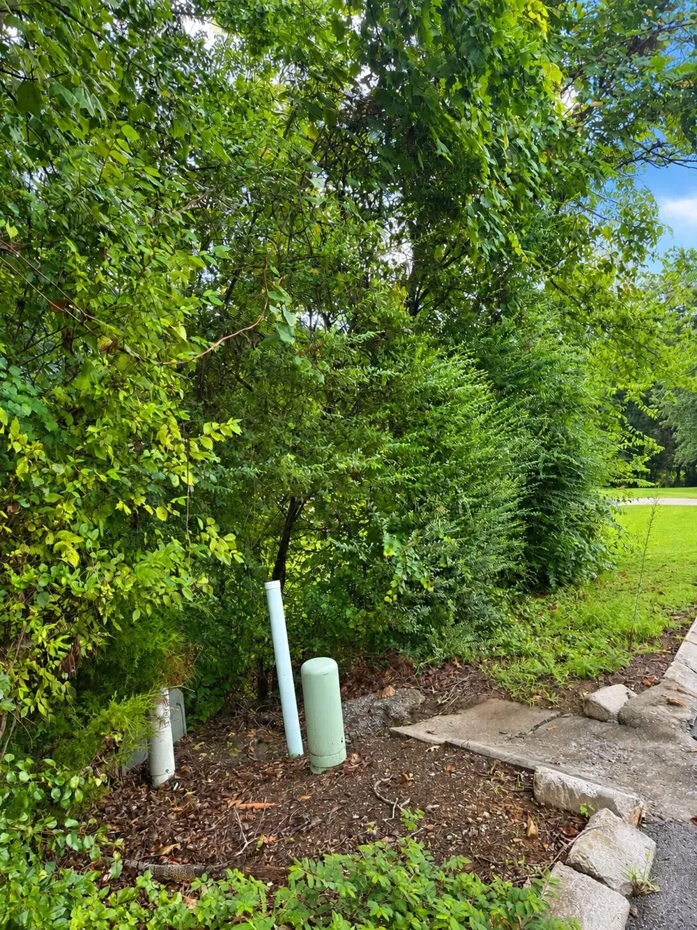 392 Arbor Pointe Trail Dayton, TN 37321