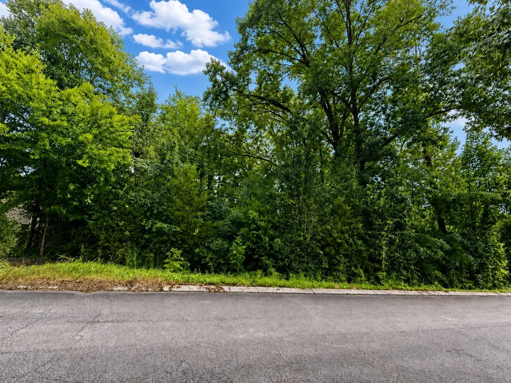 392 Arbor Pointe Trail Dayton, TN 37321