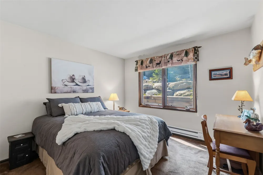 165 Shadows Drive Breckenridge, CO 80424