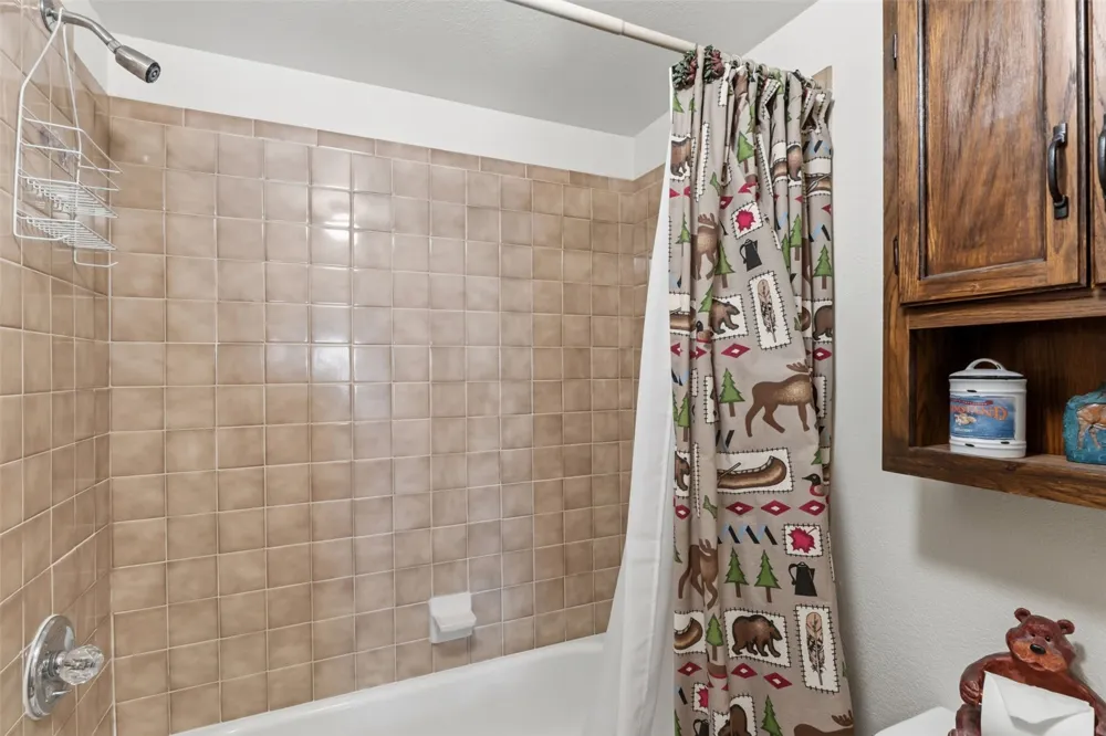 165 Shadows Drive Breckenridge, CO 80424
